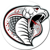 Cobra VPN - Fast &amp; Secure icon