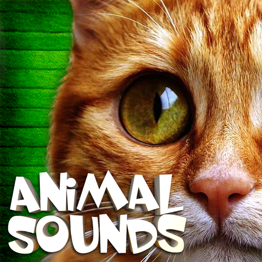 Animal Sounds IDLI icon