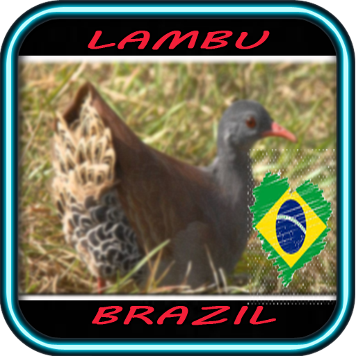 Canto da Lambu Novo Mestre icon