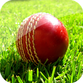 Cri Score icon