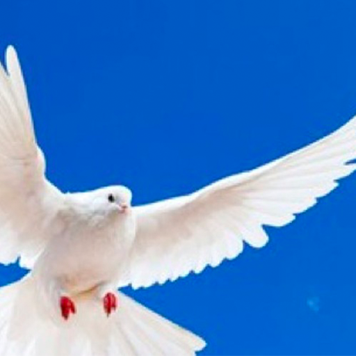 Voice of Heaven icon