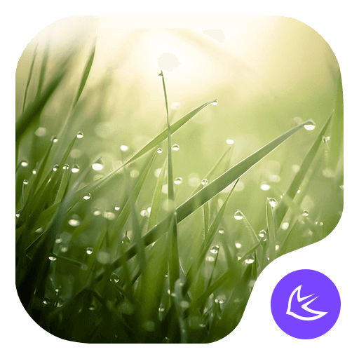 Lush-APUS Launcher theme icon