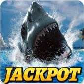 CASINO MEGA WIN : Wild Shark Slot Machine icon
