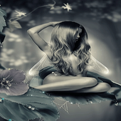 Flower Fairy Live Wallpaper icon