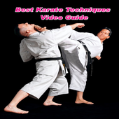 Best Karate Techniques Video Guide icon