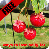 ways to lose belly fat icon