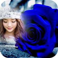 Blue Rose Photo Frame on 9Apps