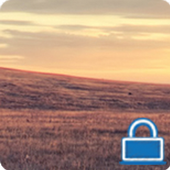 Locker for HUAWEI Mate 8 &amp; P8 icon