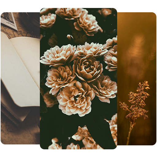 Brown wallpapers FullHD - Brown color Wallpapers icon