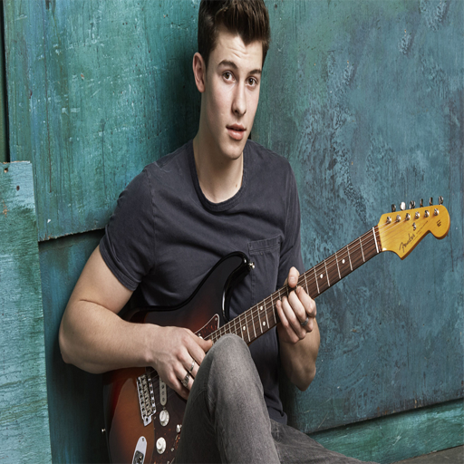 SHAWN MENDES-Songs Offline (40 Songs) icon
