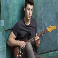 SHAWN MENDES-Songs Offline (40 Songs) on 9Apps