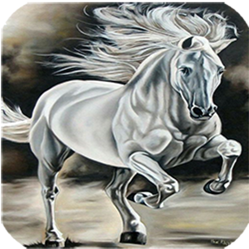 Horse  live wallpaper icon