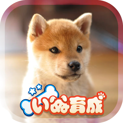 Shibainu Simulation Game 3D icon