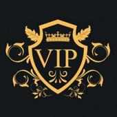 VIP VPN