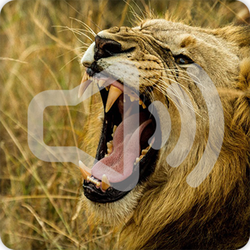 Lion Sounds Ringtone icon