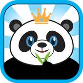 Slap Panda - kungfu training