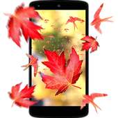 Leaf 3D Live Wallpaper on 9Apps