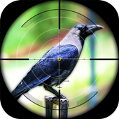 Crow Hunting icon