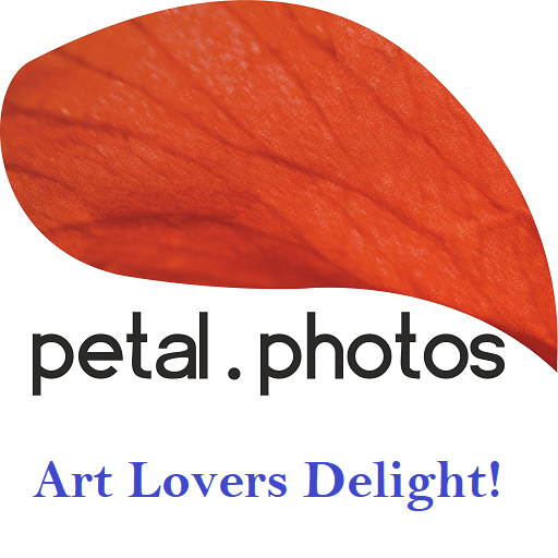 Petal Art icon