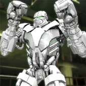 Diamond Of Real Steel Fight