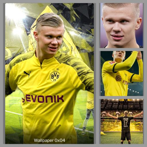 Erling Haaland Wallpapers HD 4K 2020 icon