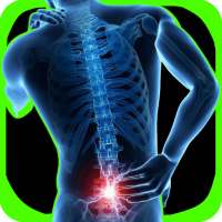 Lower Back Pain Exercises on 9Apps