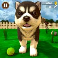 Virtual Puppy-Family Adventure