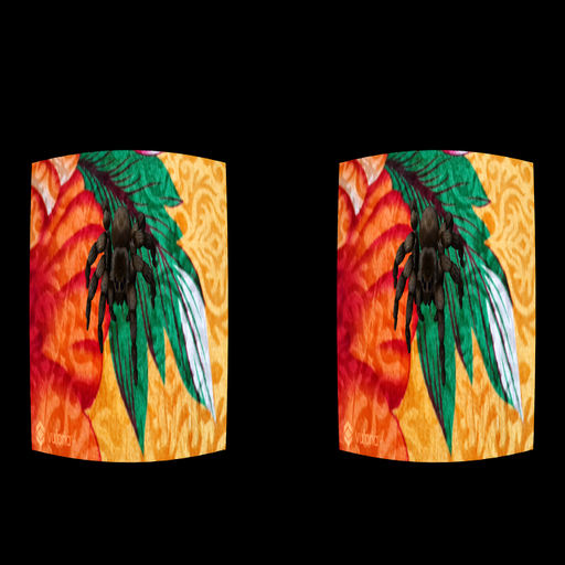 Spider Phobia Therapy-VR and AR (google cardboard) icon