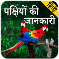 Birds Information in Hindi