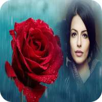 Rose Photo Frames on 9Apps