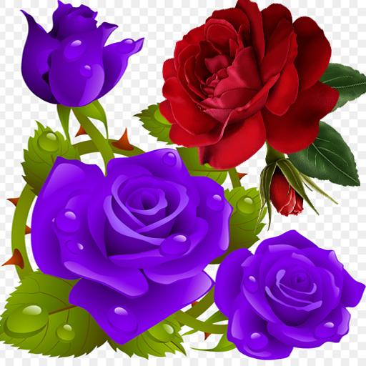 Flowers and Roses Live Wallpaper Gif App icon