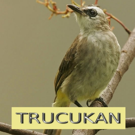 Master Kicau Trucukan icon