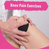 Knee Pain Exercises icon