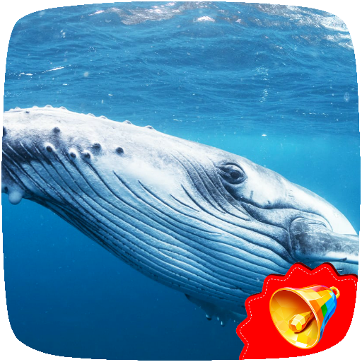 Whale Sounds icon