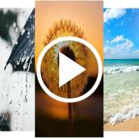 Nature Video Live Wallpaper