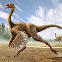 Gallimimus Simulator on 9Apps