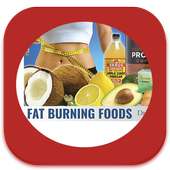 14 Days Fat Burn Diet Plan on 9Apps