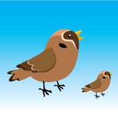 Bird Rescue icon