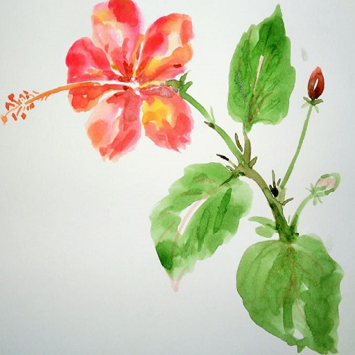 How to Draw Flowers Ideas icon