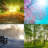4 Season Wallpaper Screen Lock आइकन