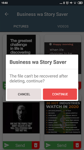 Business wa Story Saver screenshot 4