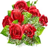 Поздравления с днем рождения on 9Apps