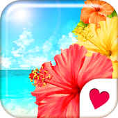 Cute wallpaper★Hibiscus Beach icon