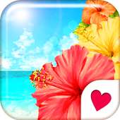 Cute wallpaper★Hibiscus Beach