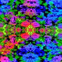 Mystic Nature Music Visualizer