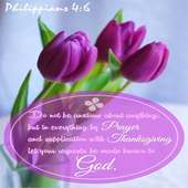 bible quotes on 9Apps