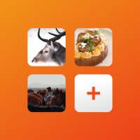Photo Widget - Widget Share