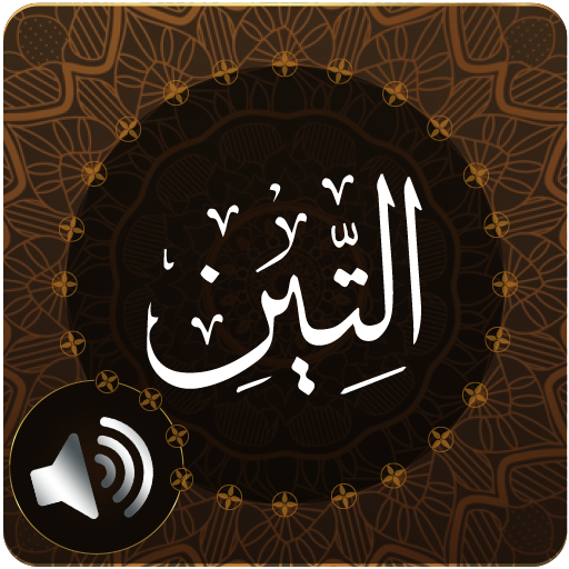 Surah Tin Audio icon