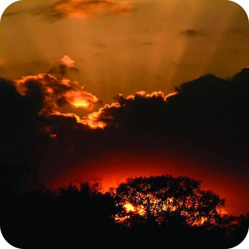 Hopes, Dreams and Meditations icon