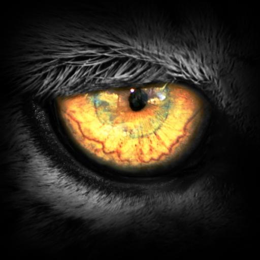 Leopard.tv Wildlife Magazine иконка